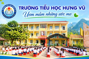 GIỚI THIỆU TỔNG QUAN VỀ TRƯỜNG TIỂU HỌC HƯNG VŨ